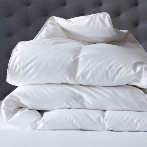 Renee Taylor 600 GSM Deluxe High Loft Quilt With Cotton Cover Premium Microfiber Filling