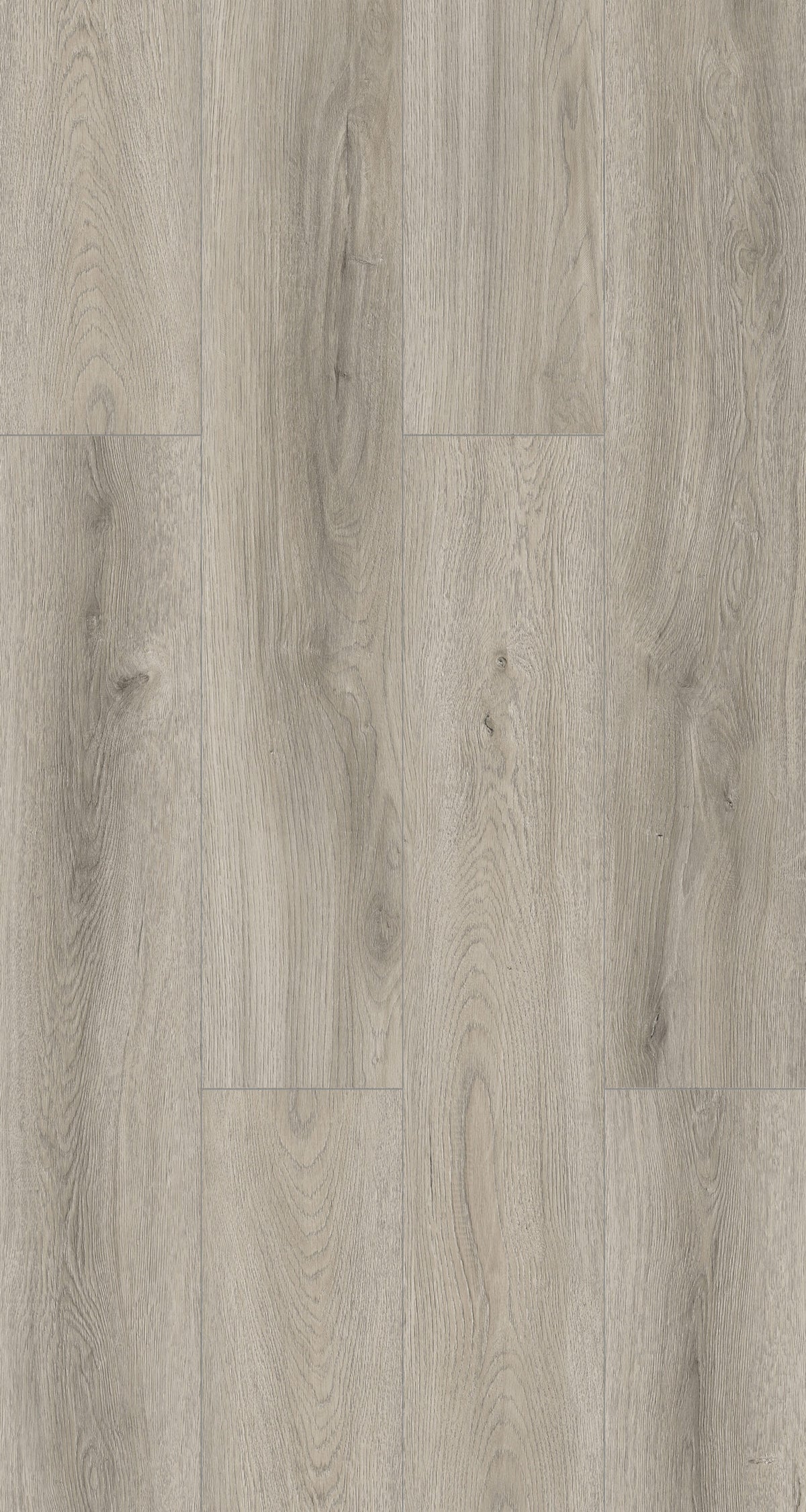 GREY OAK HYRBRID