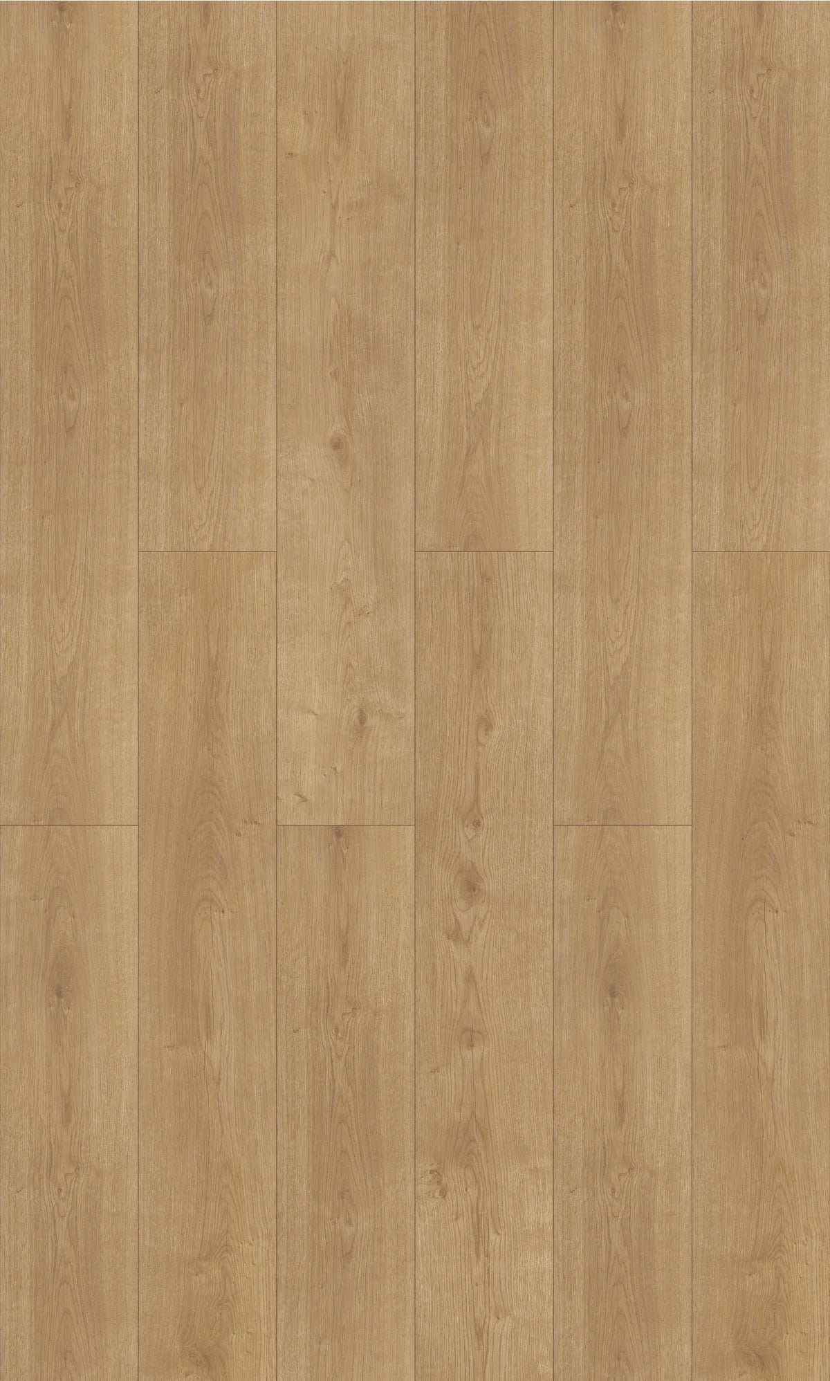 NATURAL OAK LAMINATE