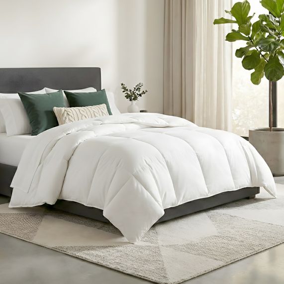 Renee Taylor Luxurious Australian Wool Quilt 350 GSM Imported