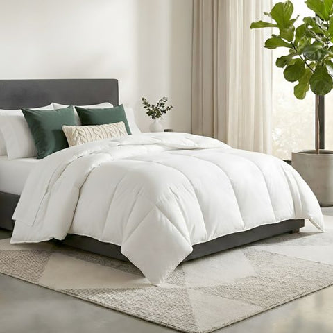 Renee Taylor Luxurious Australian Wool Quilt 350 GSM Imported